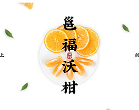 广西泽霖生态农业有限公司是泽霖集团