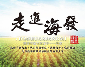 五常海发米业有限公司