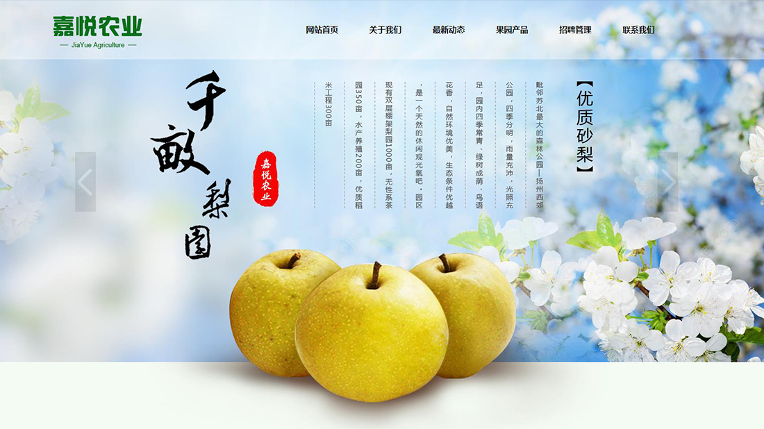 农副产品网站案例