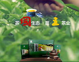贵州省松桃武陵源苗王茶业公司