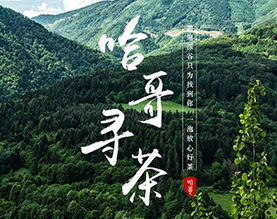 河南哈哥寻茶商贸有限公司