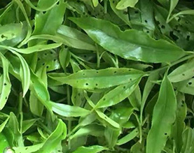 潮州市伴云茶业有限公司