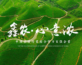 湖北省鹤峰鑫农茶业集团有限公司