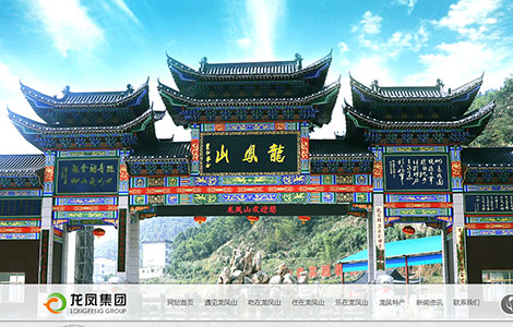 大冶市龙凤山农业开发集团有限公司 