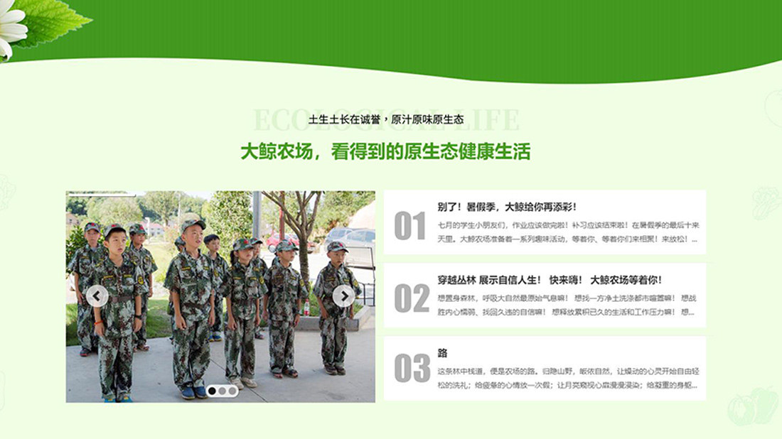 酒店旅游网站案例