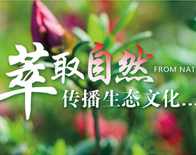 广西花卉协会