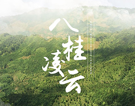 广西八桂凌云茶业有限公司