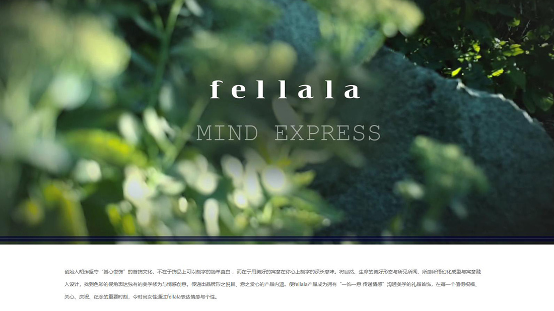 珠宝首饰网站案例