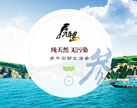大连虎平岛海参珍品有限公司