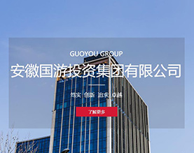 安徽国游投资集团有限公司