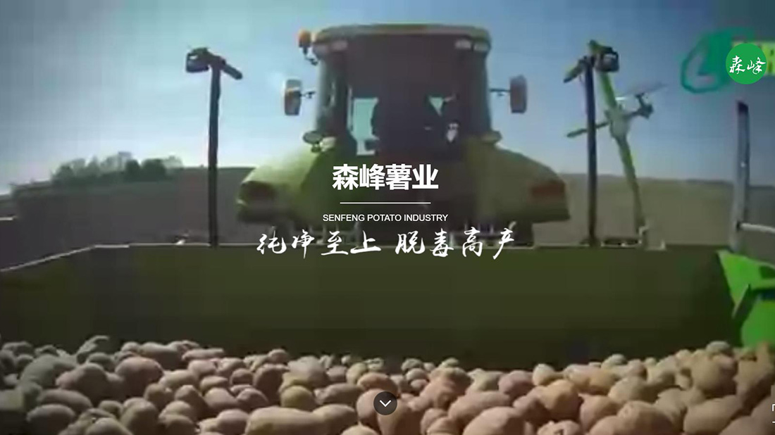 农副产品网站案例