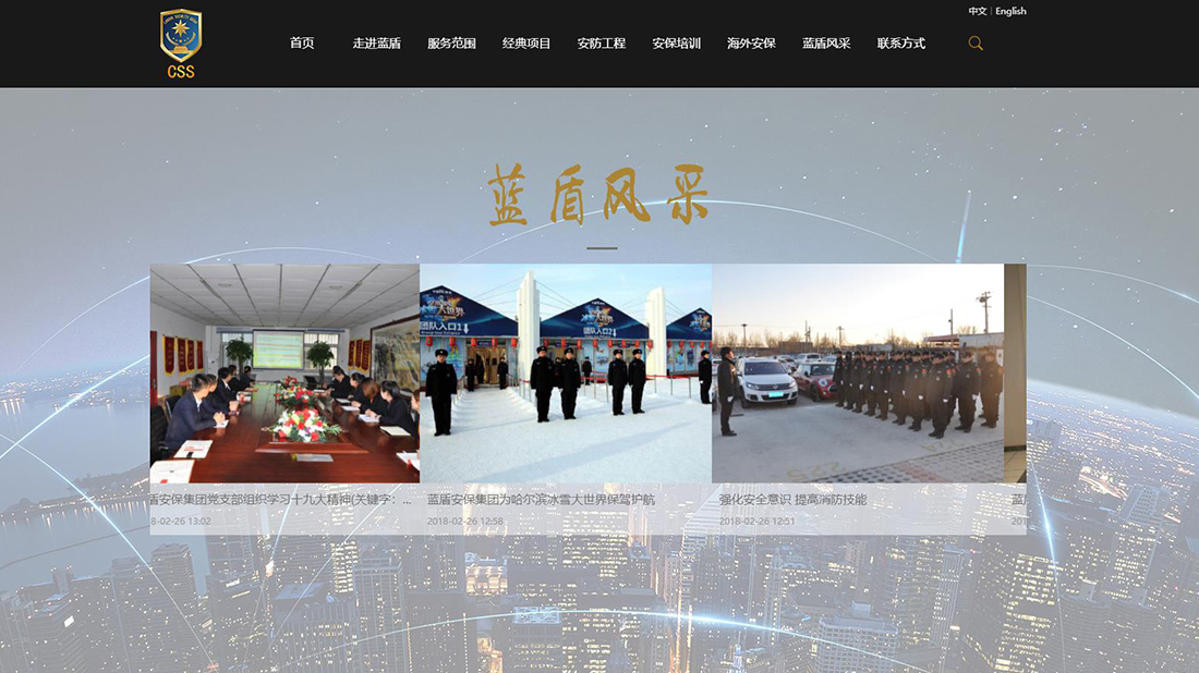 商业服务网站案例