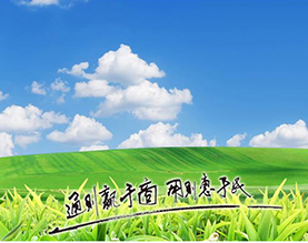 山东通用化学品有限公司