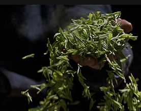 杭州更香茶场有限公司