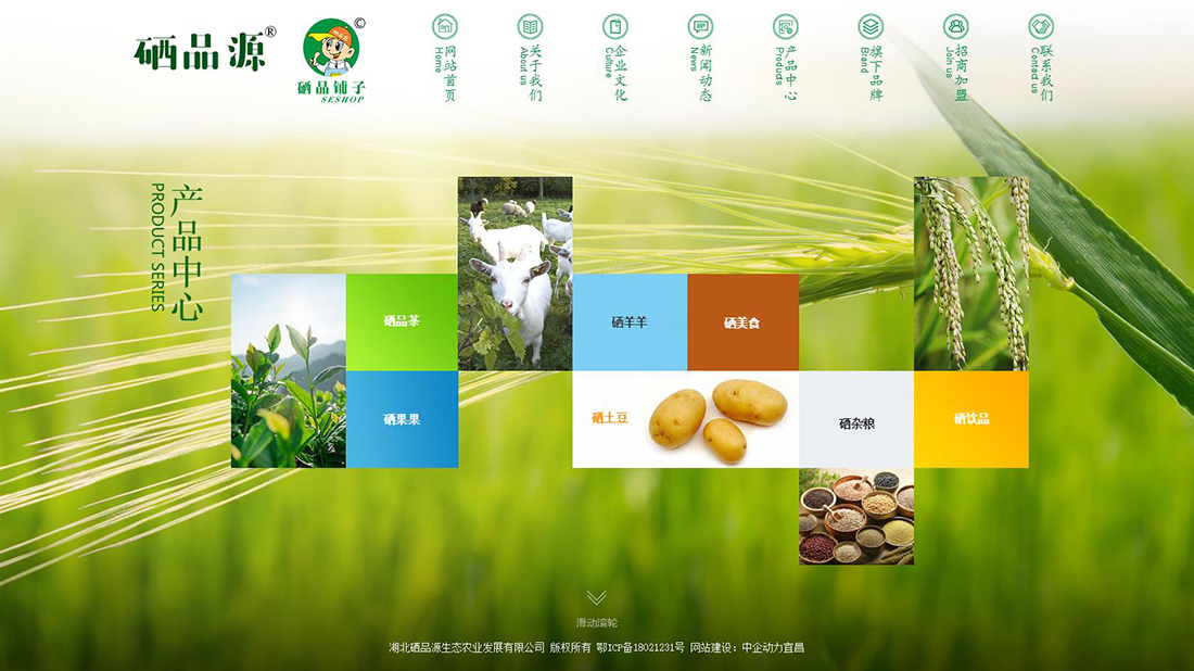 农副产品网站案例