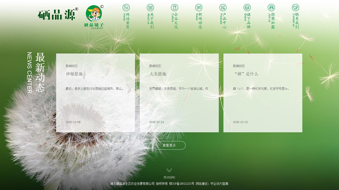 农副产品网站案例