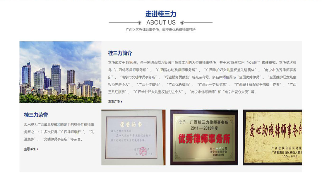 商业服务网站案例