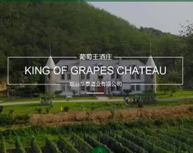 烟台市华泰酒业有限公司