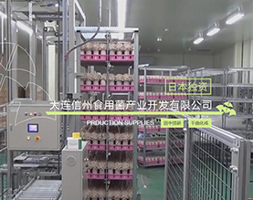 大连信州食用菌产业开发有限公司