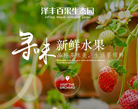 葫芦岛市南票区金星镇佳丰保温被厂