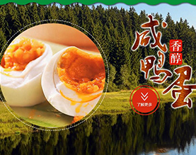 辽宁新一天食品有限公司