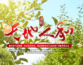 广西农和生态农业科技有限公司