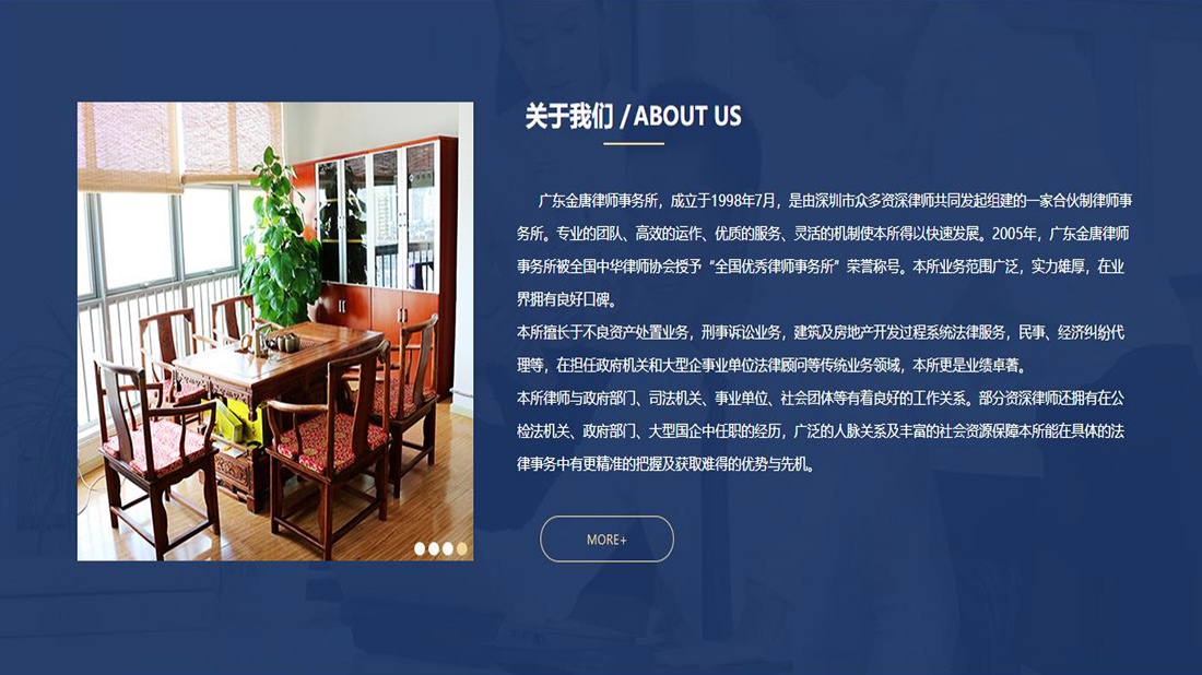 商业服务网站案例