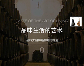 广西崔顿商贸有限公司