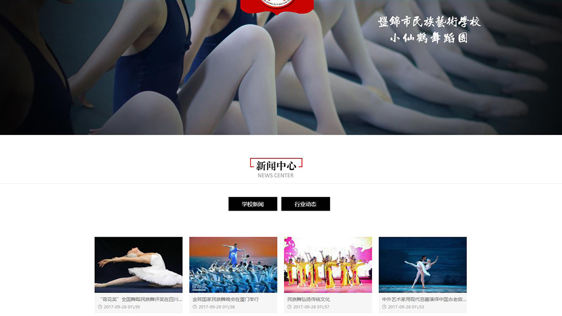 培训教育网站案例