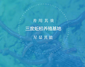三度蚯蚓养殖基地