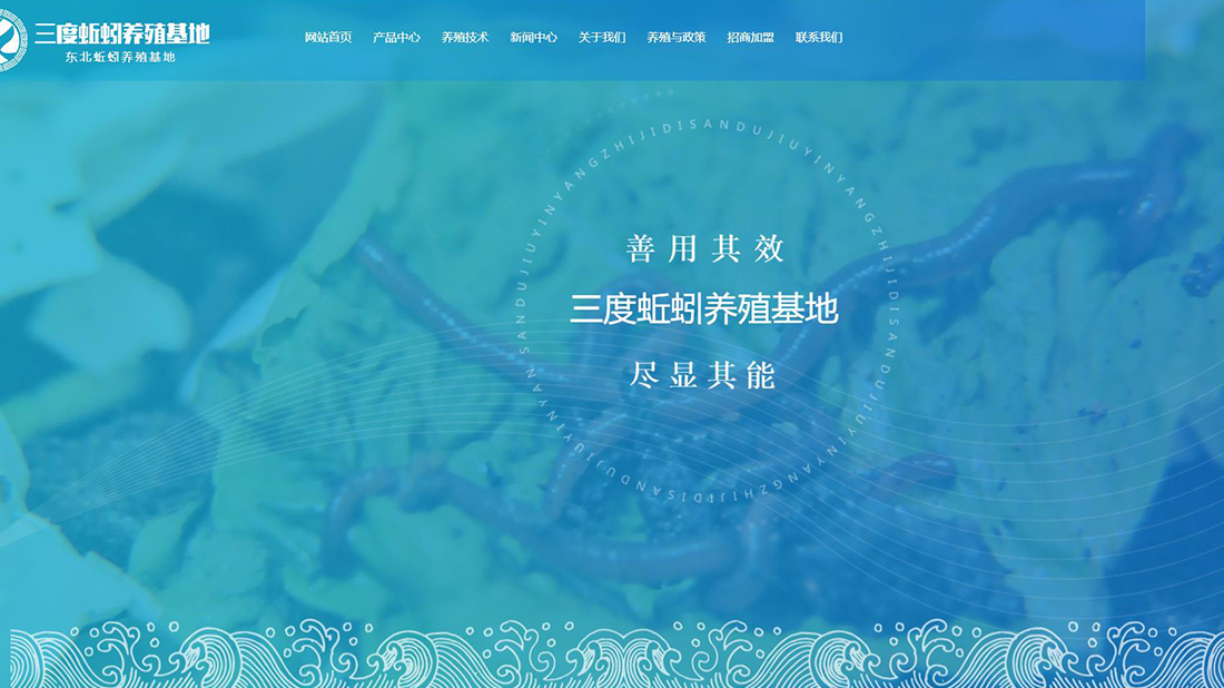其它网站案例