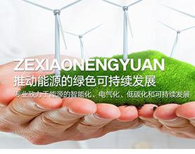 吉林省泽源能效工程有限公司
