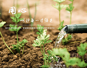 湖北天蓝地绿生态科技股份有限公司