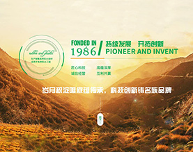 江阴市华宏橡塑有限公司