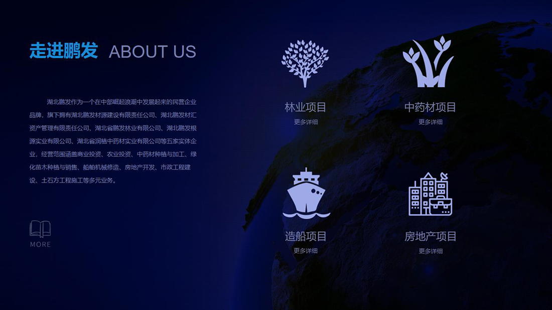 房地产网站案例