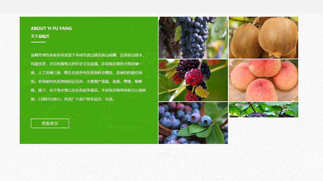 网站案例