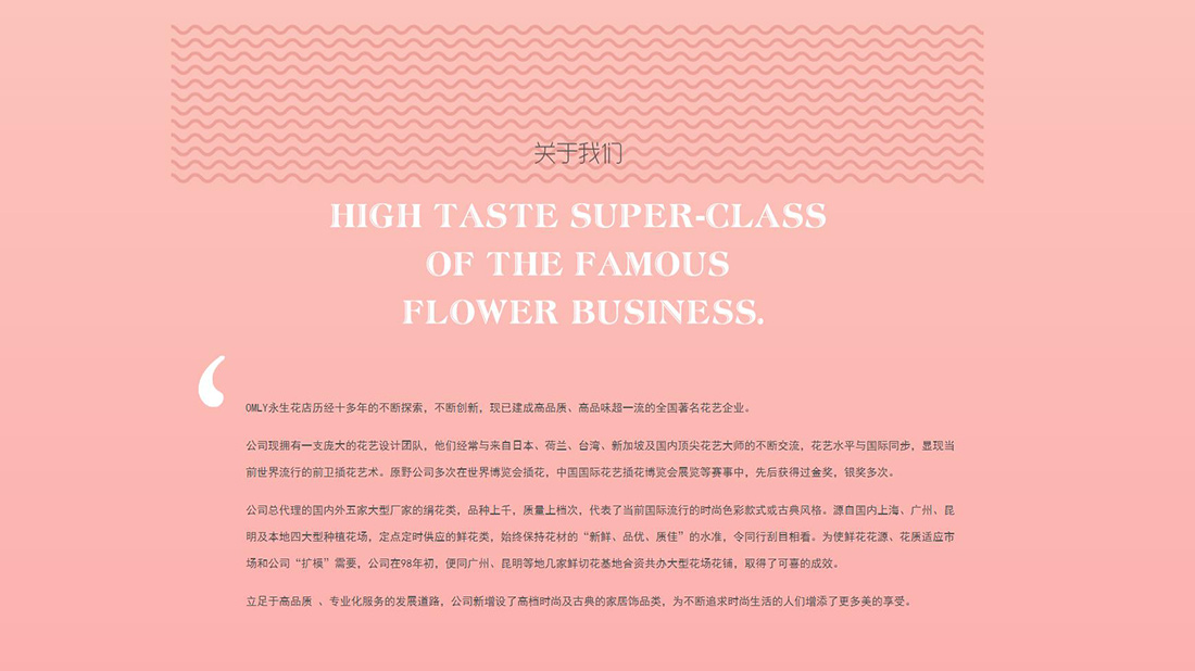 商业服务网站案例