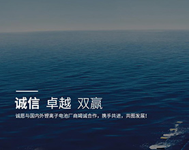天津金牛电源材料有限责任公司　