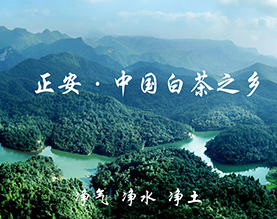 贵州正安璞贵茶业有限公司