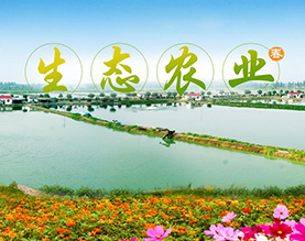 湖北老农垦金水生态农业开发有限公司