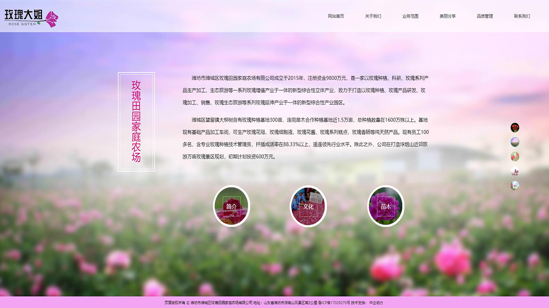 农副产品网站案例
