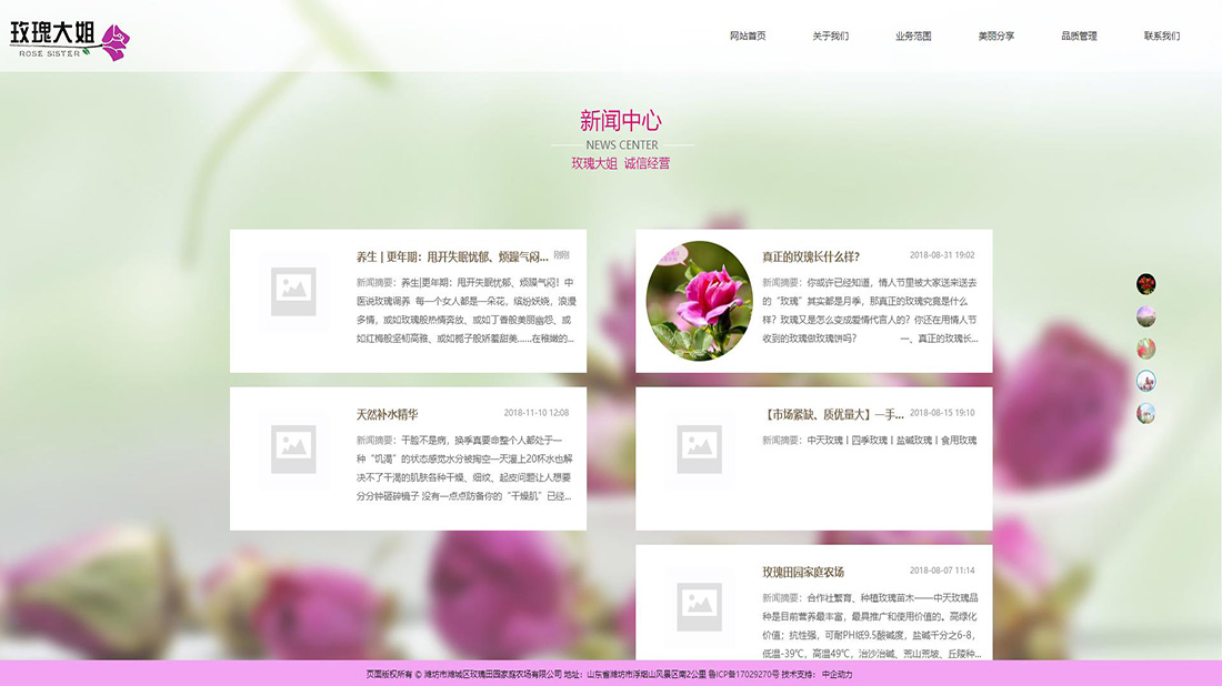 农副产品网站案例