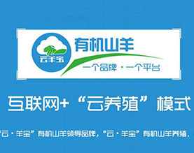 贵州省东翔牧业有限公司