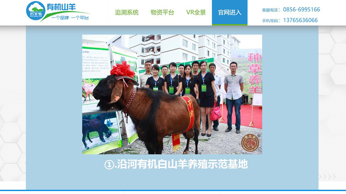 网站案例