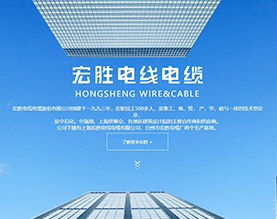 宏胜电线电缆有限公司