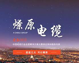 燎原电缆集团有限公司