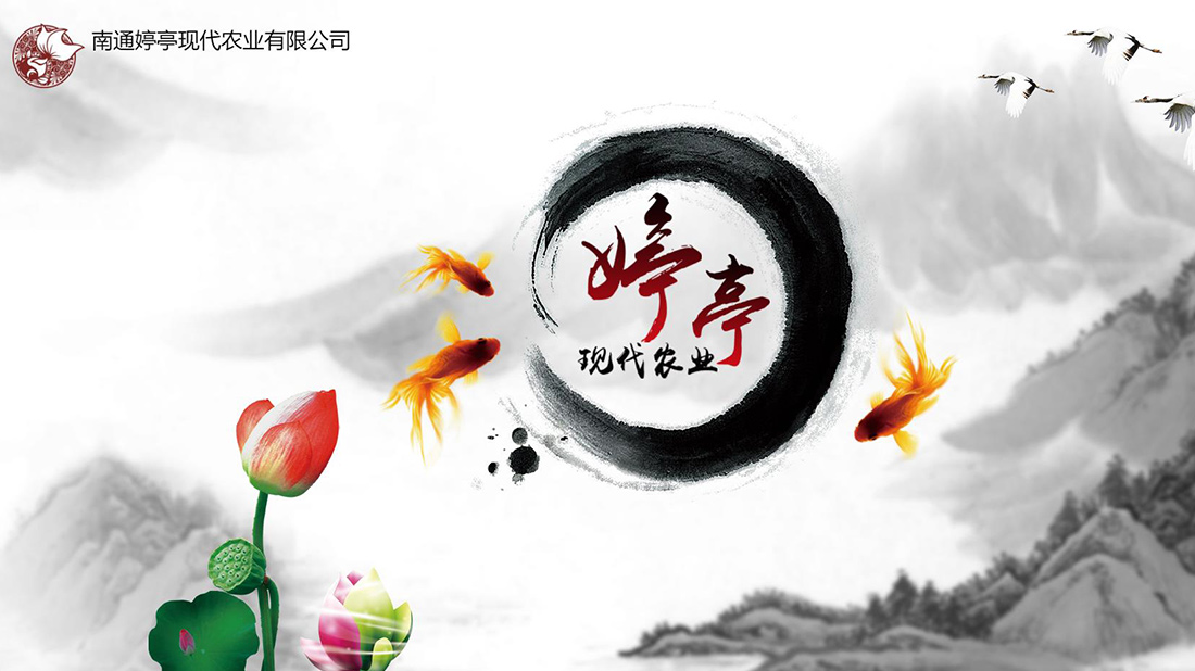 农副产品网站案例