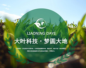 辽宁大叶农业科技有限公司