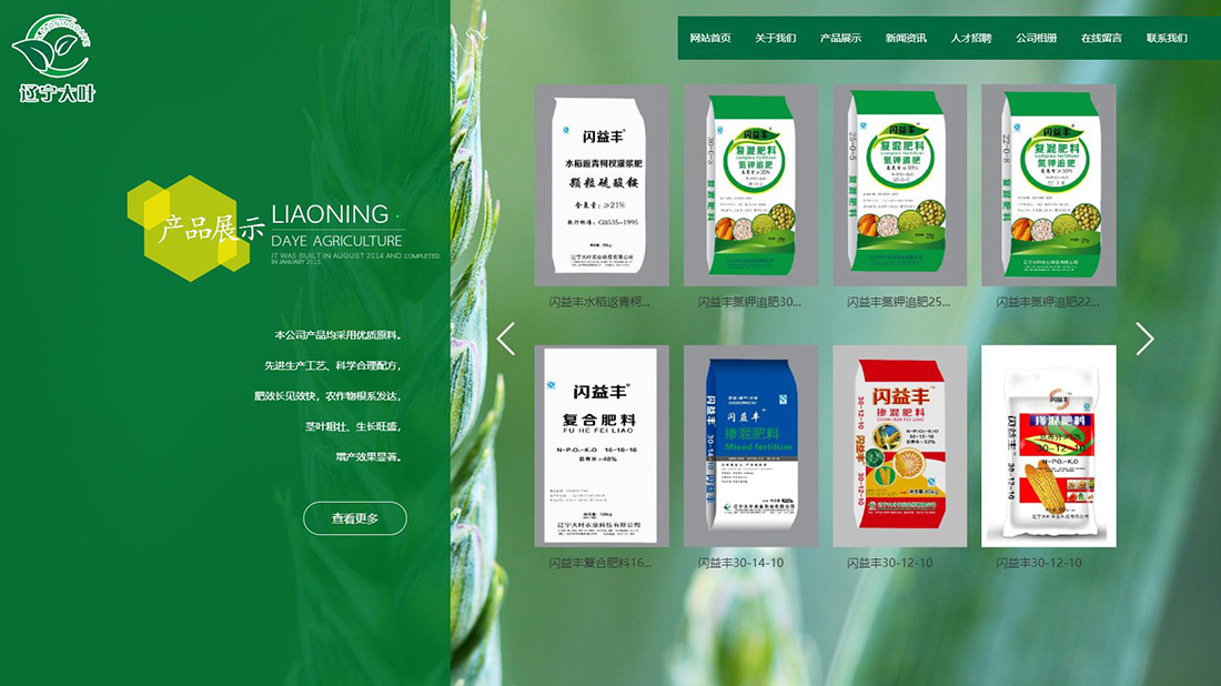 网站案例