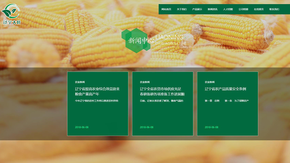 网站案例